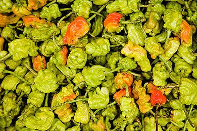 《龙之信条2》上架Steam平台 暂不支持中文